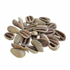 mike fruit 500 g