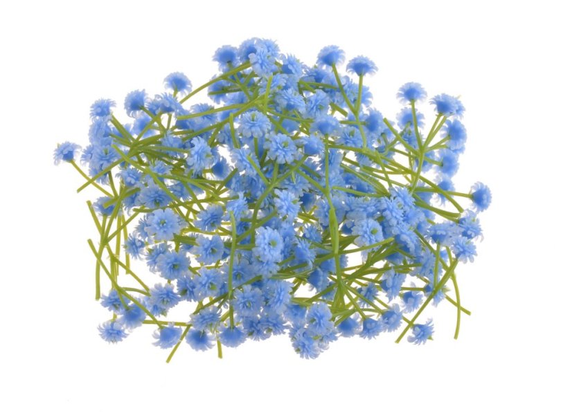 gypsophila - šater - květy (stonek 4 cm) - modrá