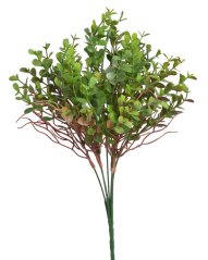 eukalyptus s větvičkami x5 - zelená