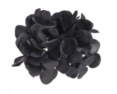 hlavičky hortenzií (12ks) - černá