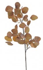 podzimní větvička eukalyptus - hnědá okrová