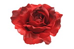 růže - hlavičky (12 ks) - červená tmavší