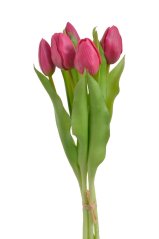 svazek tulipánů (5 ks) - růžová