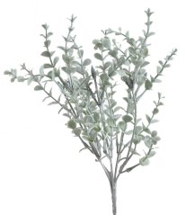 eukalyptus trs x5 - zelenošedá