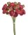 ranunculus svazek x9 - červená