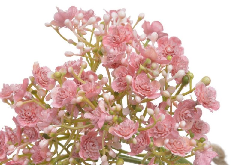 gypsophila - šater (5 ks) - růžová