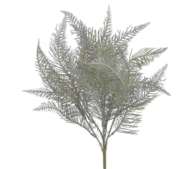 kapradina trs 45 cm - šedá/zelená světlá