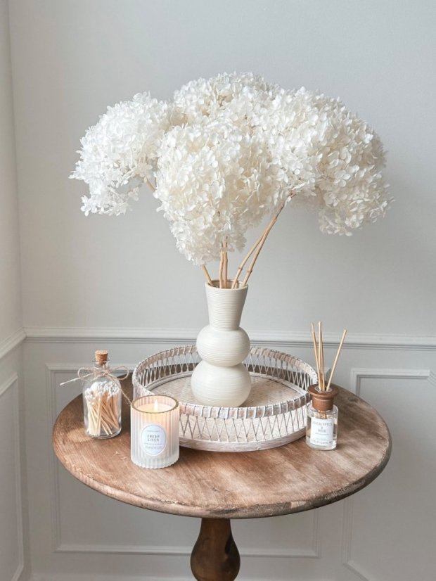 hortenzie sušená preparovaná - bělená