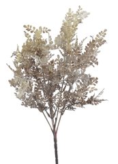 trs s malými lístky - hnědokrémová