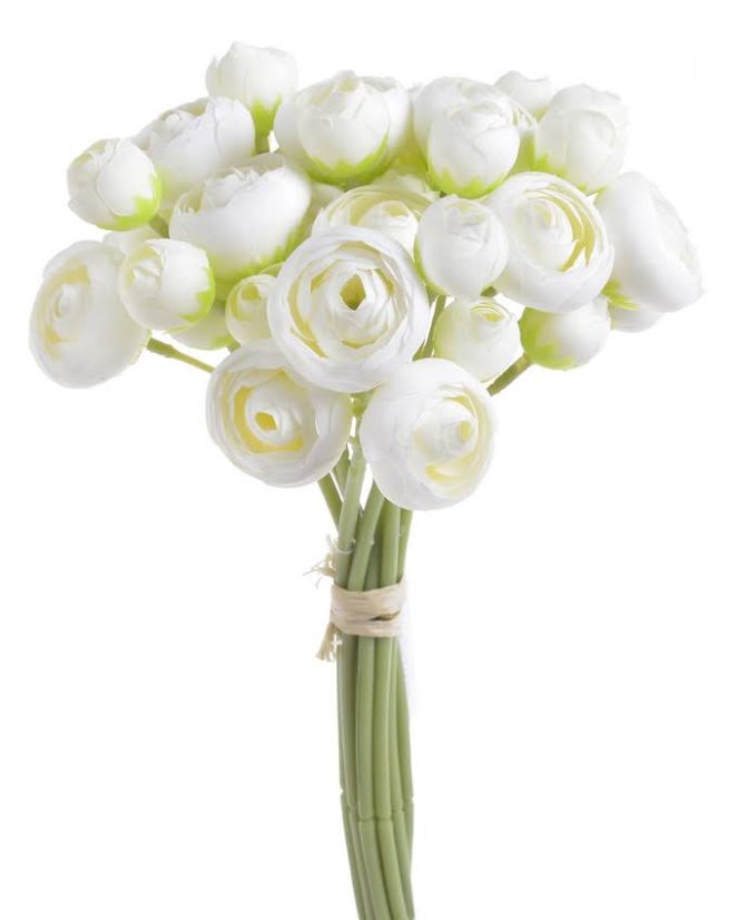 ranunculus svazek x9 - bílá