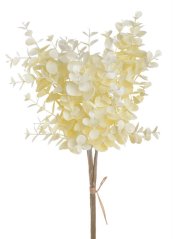 eukalyptus svazek 3 ks - krémová