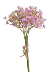 gypsophila - šater (5 ks) - fialovorůžová