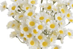 heřmánek svazek 3 ks - bílá