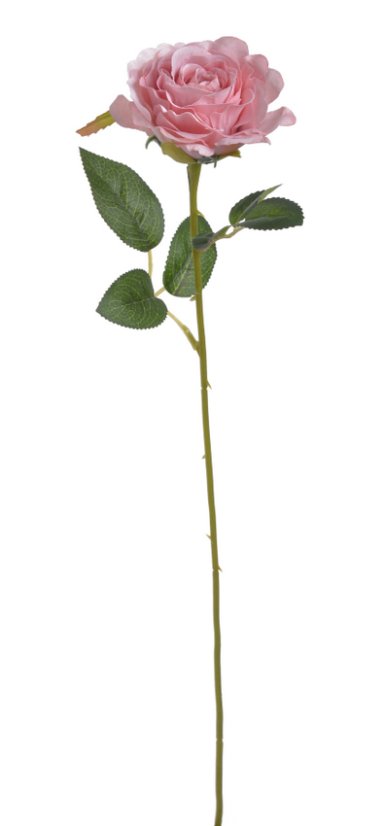 růžička 52 cm - růžová