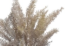 vřesovec trs x5 - šedobéžová