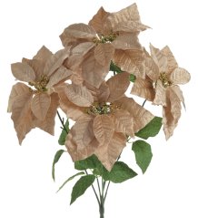 trs vánoční hvězda - zlatá