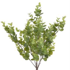 eukalyptus trs x7 - zelená