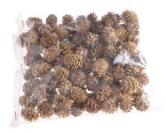 salignum natural (200 g)
