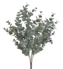 eukalyptus trs x7 - zelenošedá