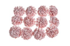 jiřiny - hlavičky (12 ks) - růžová tm.