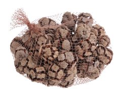 cypřiš - cupresus (500 g)