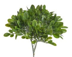 buxus svazek - zelená