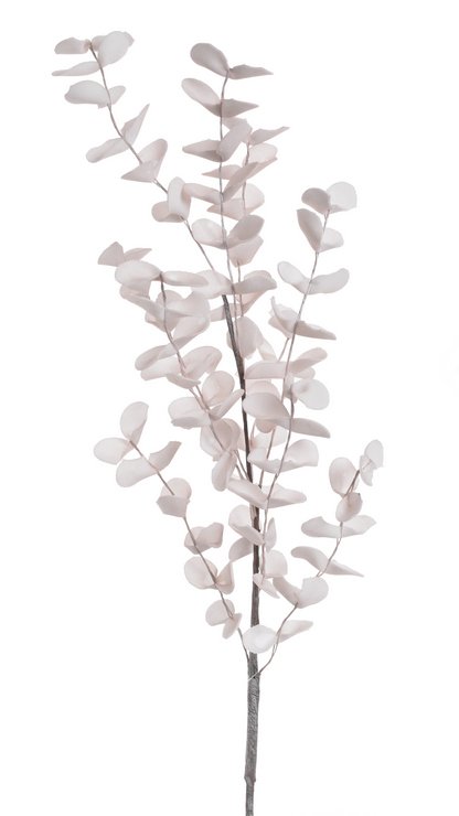 eukalyptus pěnový - starorůžová