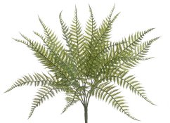 kapradí trs 55 cm - zelená tmavší