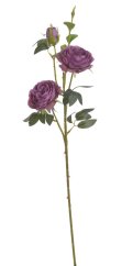 plnokvětá růže 65 cm - růžovofialová