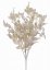 trs ruscus s bobulemi - světlá béžová