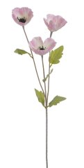mák se třemi květy - růžová