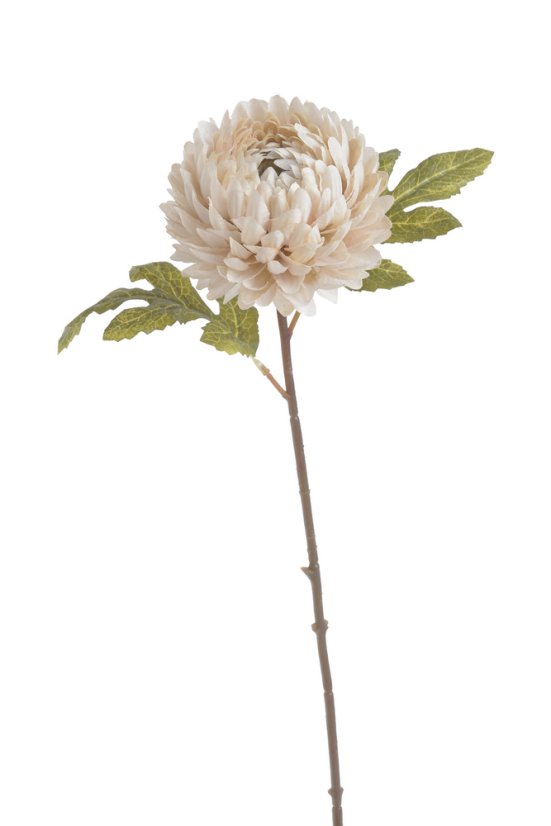 chryzantéma 51 cm - krémová vintage
