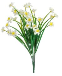 narcis mini - trs - krém/žlutá