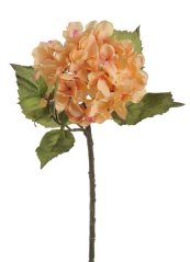 hortenzie 48 cm - oranžová