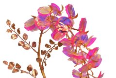 OPALIZZE vistárie 80 cm – iridescentná ružová