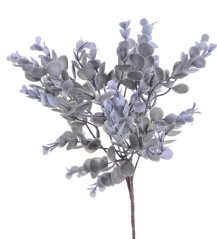 trs eukalyptus zaprášený - šedá