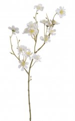 větvička višně 40 cm - bílá