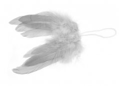 andělská křídla (4 ks) - šedá