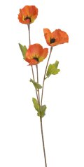mák se třemi květy - oranžová