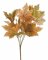 listy javoru - trs okrovozelený