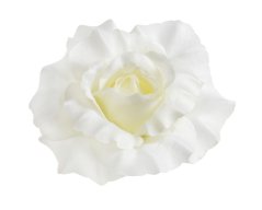 růže - hlavičky (12 ks) - krémová