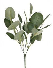 trs eukalyptus - zelenošedá