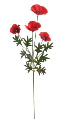 mák se čtyřmi květy - červená