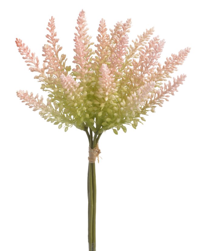 svazek vřesovec x5 - broskvová