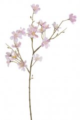 větvička višně 40 cm - růžová