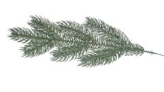 jehličí 31 cm - zelená