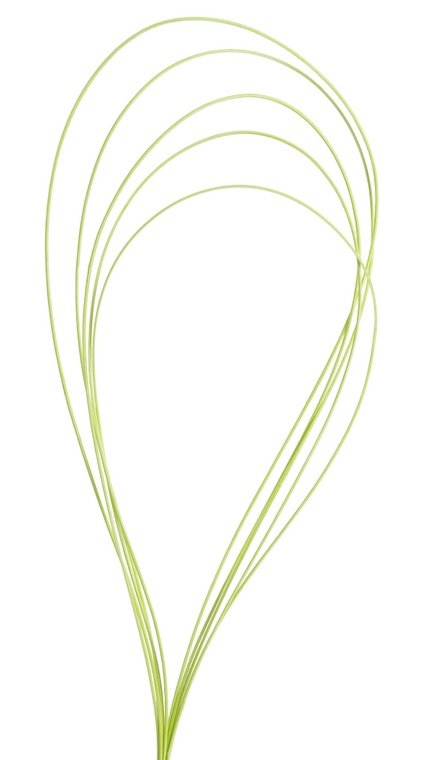 rattan pentle (5 ks) - zelená