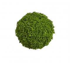 koule, umělé rostliny 12 cm - zelená
