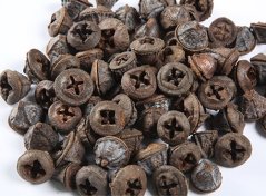 eukalyptus pod (200 g) - natural