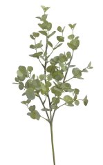 eukalyptus 48cm  - zelená světlá